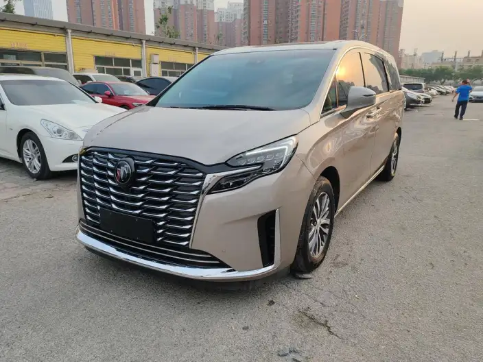 Buick GL8 2023 Model ES Luzun 2.0T Exclusive Model