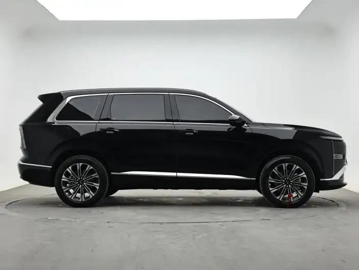 Xingguang L 2026 Model 260km VI seat Flagship Model – фото 8