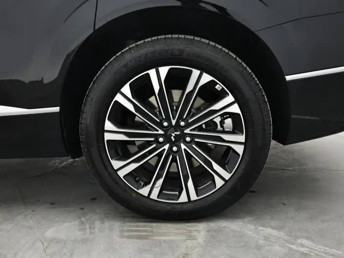Xingguang L 2026 Model 260km VI seat Flagship Model – фото 9