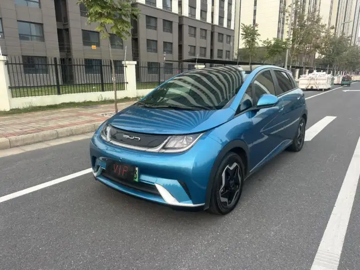 BYD Dolphin 2021 Model Fashion Edition