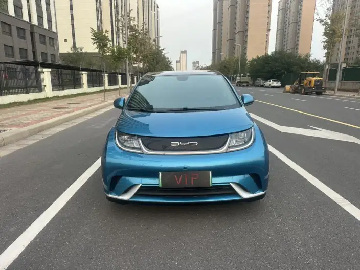 BYD Dolphin 2021 Model Fashion Edition