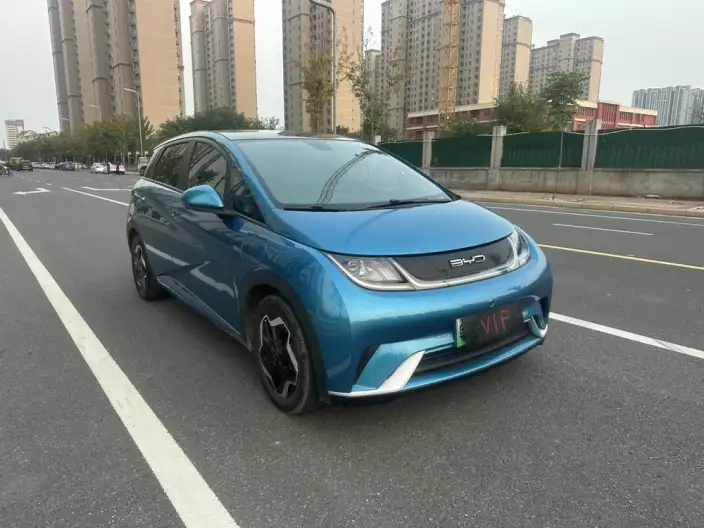 BYD Dolphin 2021 Model Fashion Edition