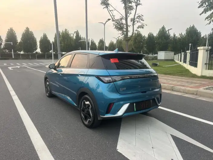 BYD Dolphin 2021 Model Fashion Edition