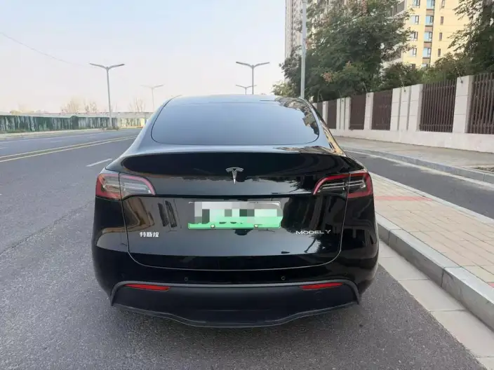Model Y 2022 Model Rear-wheel drive version – фото 5