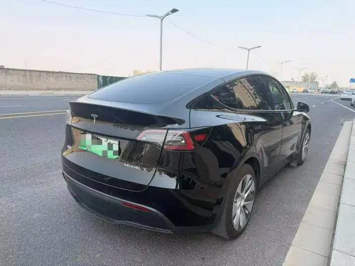 Model Y 2022 Model Rear-wheel drive version – фото 6