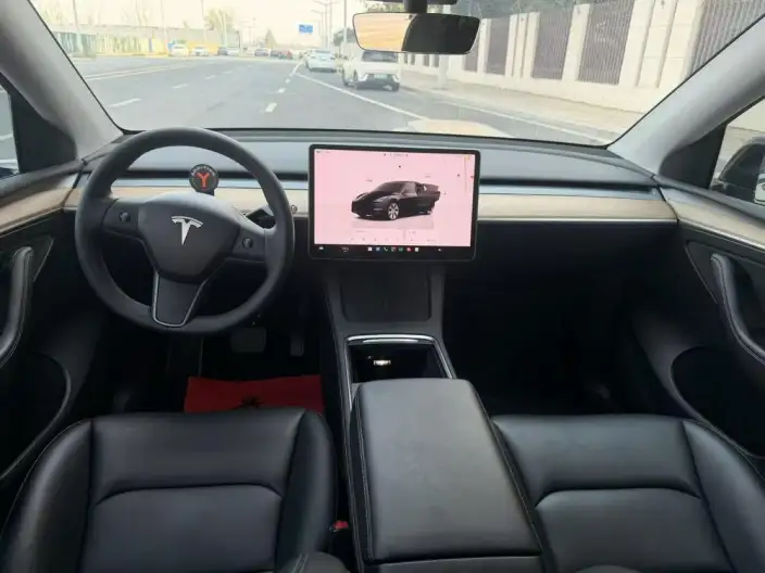 Model Y 2022 Model Rear-wheel drive version – фото 7