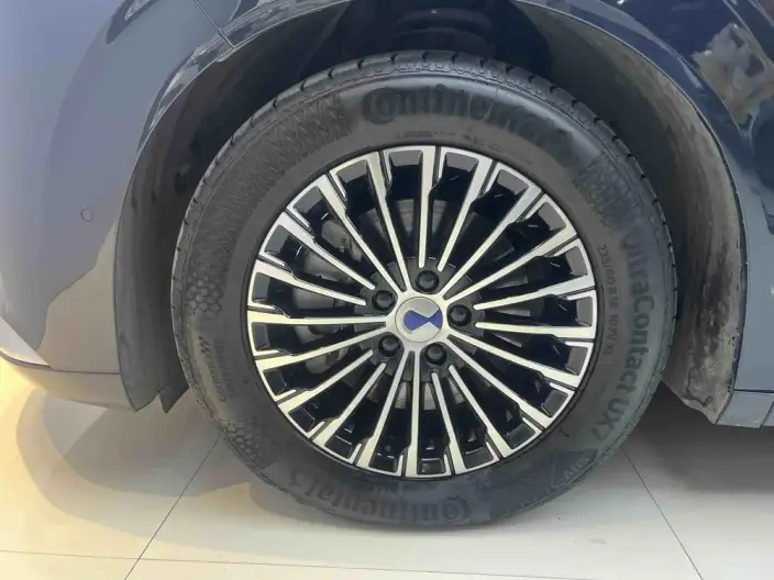 DENZA D9 DM 2022 Model 970 4WD Flagship Model – фото 10