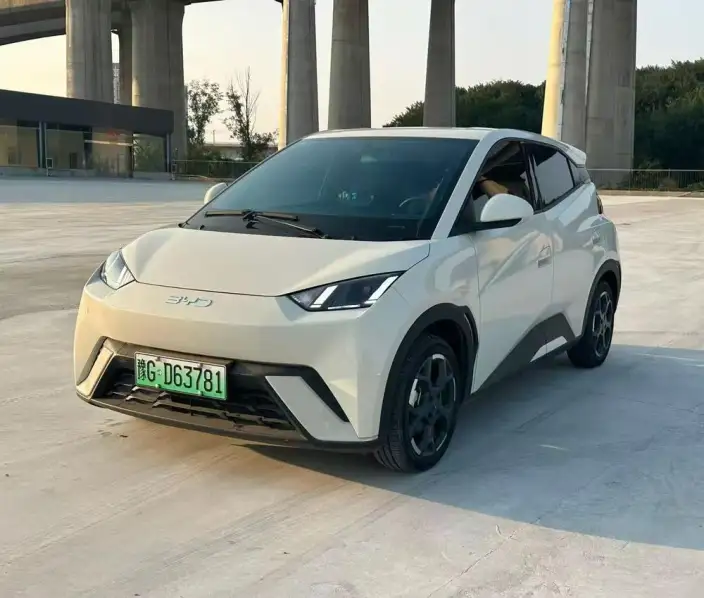 BYD Seagull 2024 Model Honor Edition 405KM Feixiang Edition