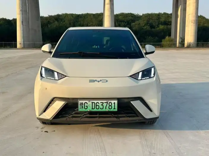 BYD Seagull 2024 Model Honor Edition 405KM Feixiang Edition