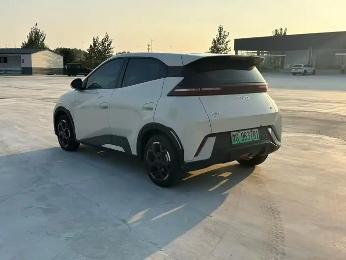 BYD Seagull 2024 Model Honor Edition 405KM Feixiang Edition