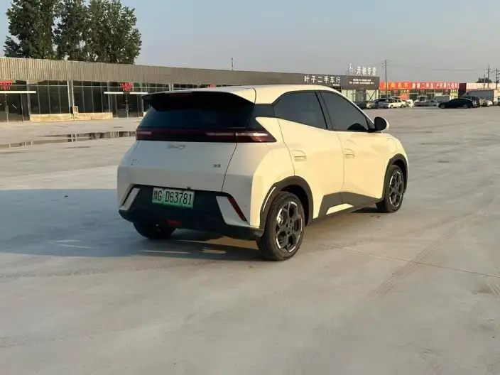 BYD Seagull 2024 Model Honor Edition 405KM Feixiang Edition – фото 6