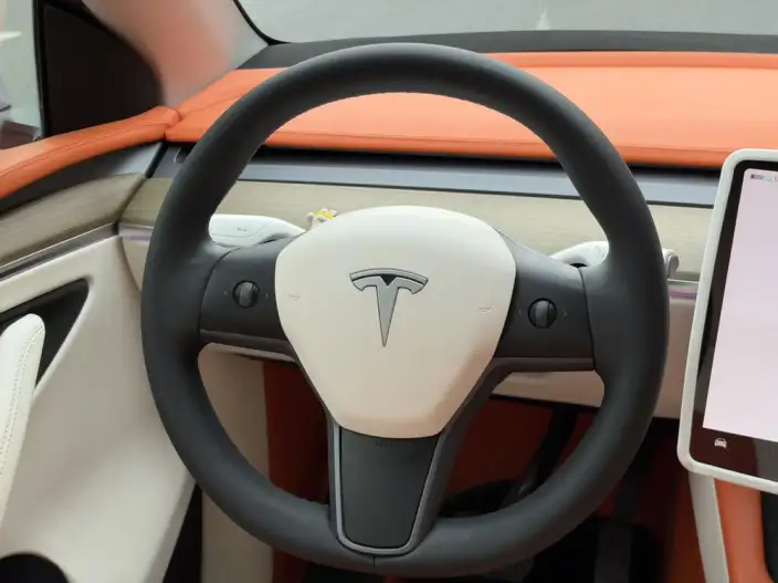 Model Y 2022 Model Facelift Rear-wheel drive version – фото 9