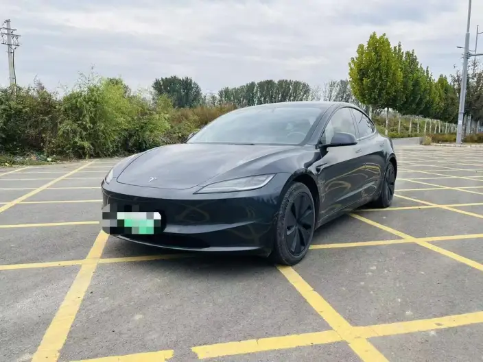 Model 3 2023 Model Rear-wheel drive version – фото 1