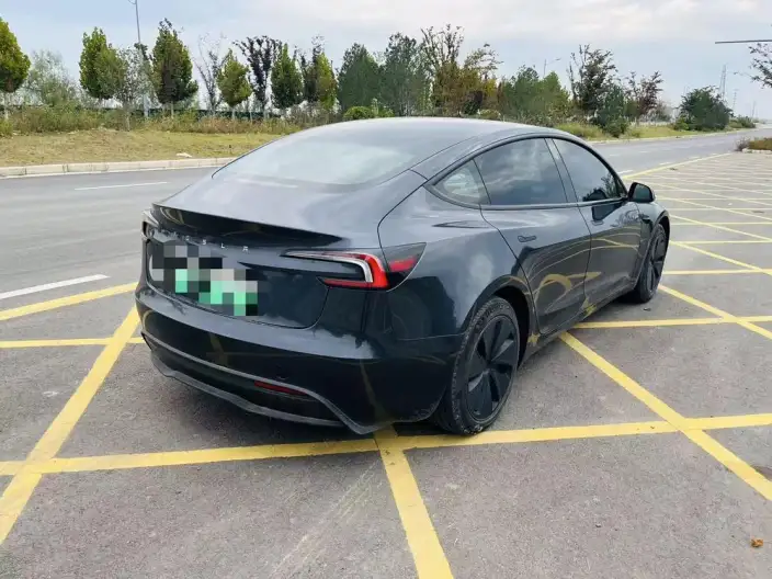 Model 3 2023 Model Rear-wheel drive version – фото 6