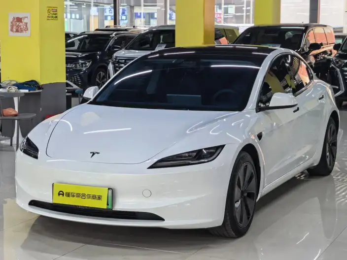 Model 3 2023 Model Long Battery Life Pro All-wheel drive version – фото 1