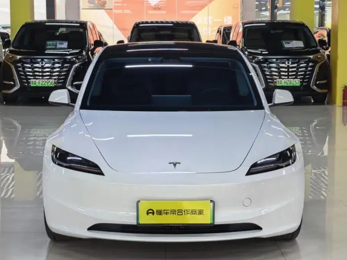 Model 3 2023 Model Long Battery Life Pro All-wheel drive version – фото 2