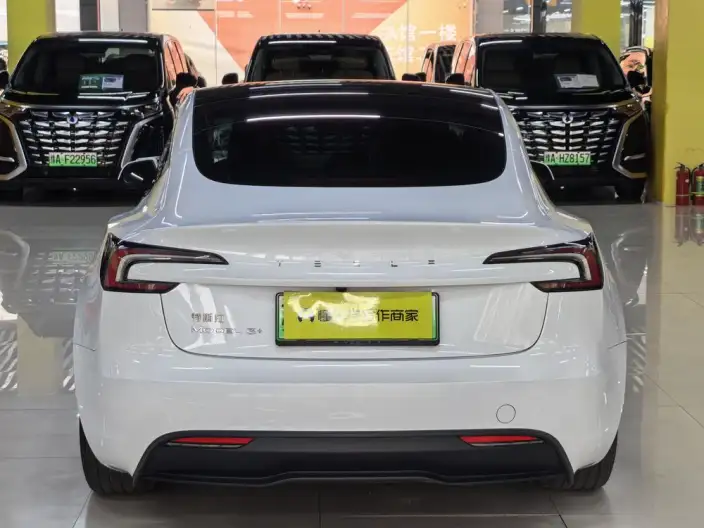 Model 3 2023 Model Long Battery Life Pro All-wheel drive version – фото 5