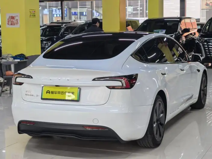 Model 3 2023 Model Long Battery Life Pro All-wheel drive version – фото 6