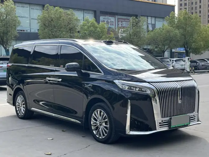 Wey Gaoshan P HEV 2025 Model 4WD Wey Gaoshan 8