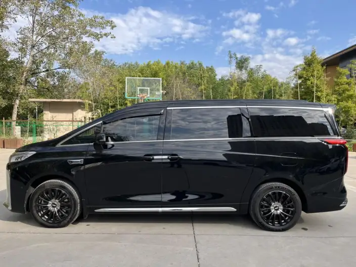 Wey Gaoshan P HEV 2025 Model 4WD Wey Gaoshan 8