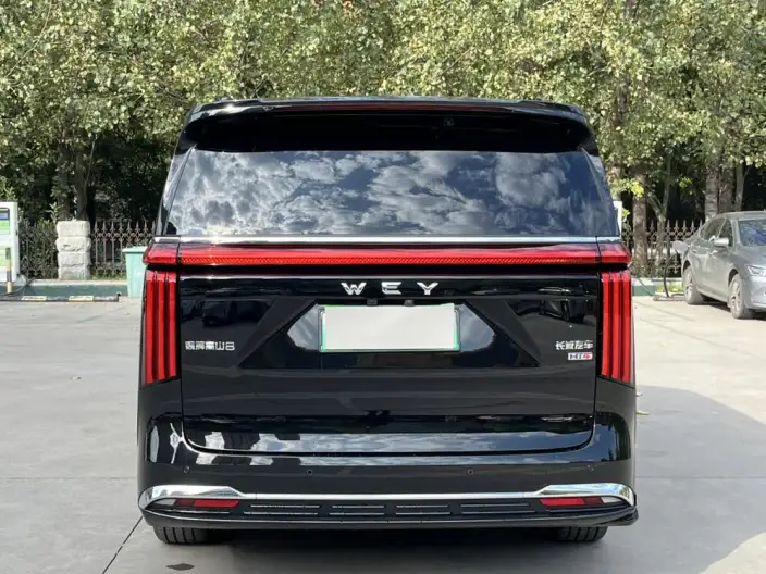 Wey Gaoshan P HEV 2025 Model 4WD Wey Gaoshan 8 – фото 5