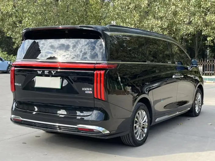 Wey Gaoshan P HEV 2025 Model 4WD Wey Gaoshan 8 – фото 6