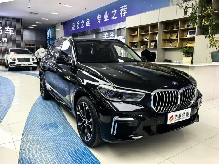 BMW X5 2022 Model xDrive 30Li M Sports Set – фото 3