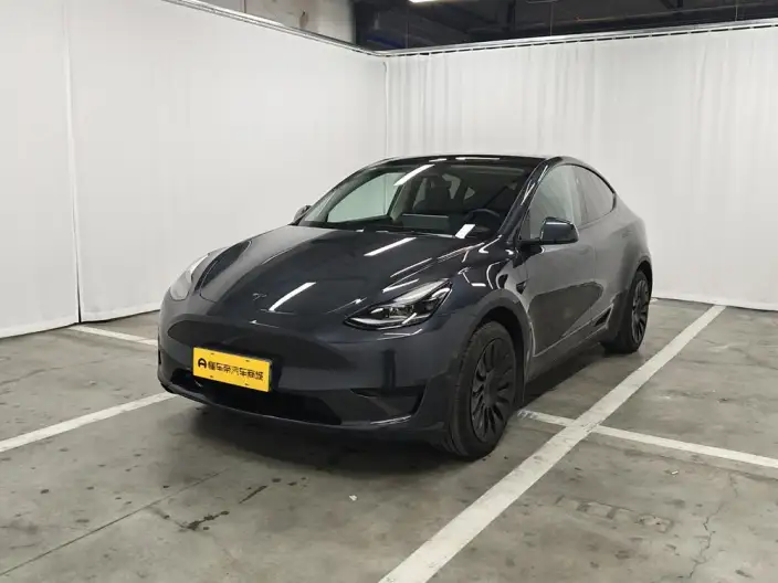 Model Y 2024 Model Rear-wheel drive version – фото 1