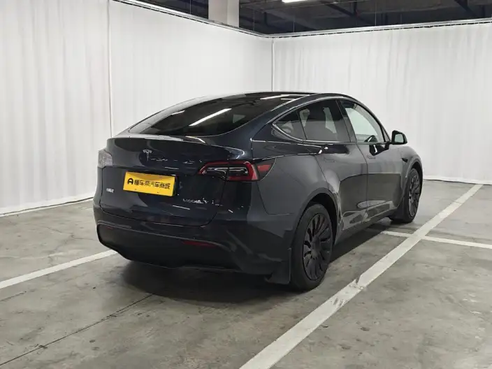 Model Y 2024 Model Rear-wheel drive version – фото 7