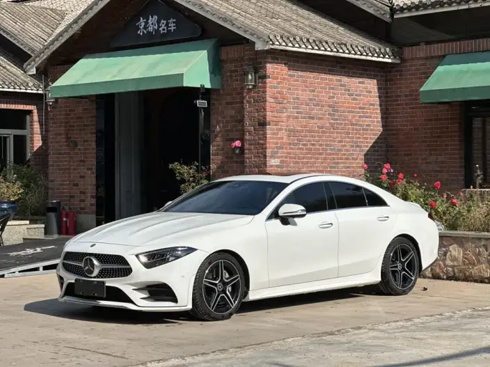 Mercedes-Benz CLS 2021 Model CLS 300 Dynamic Model – фото 1