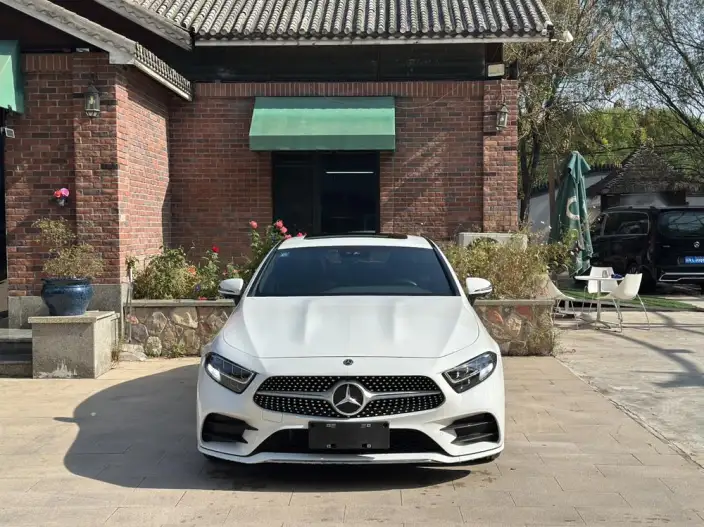 Mercedes-Benz CLS 2021 Model CLS 300 Dynamic Model – фото 2