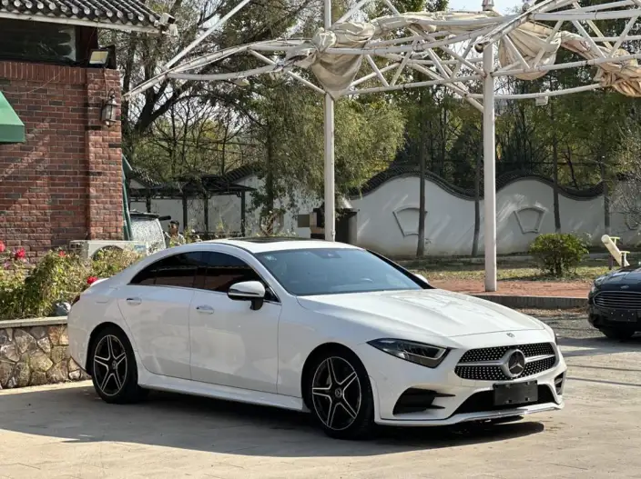 Mercedes-Benz CLS 2021 Model CLS 300 Dynamic Model – фото 3