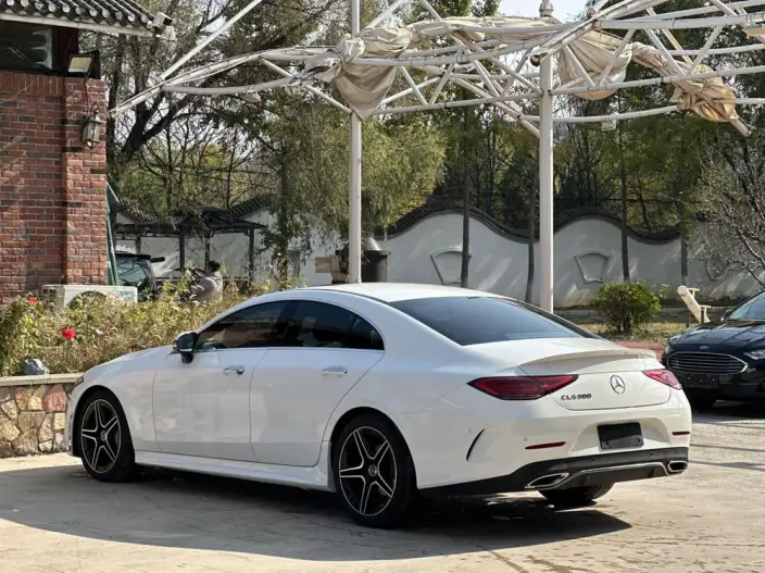 Mercedes-Benz CLS 2021 Model CLS 300 Dynamic Model – фото 4