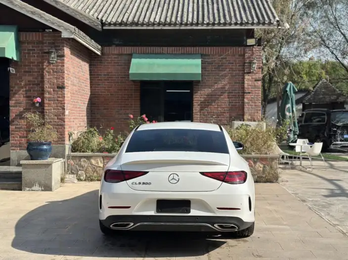 Mercedes-Benz CLS 2021 Model CLS 300 Dynamic Model – фото 5