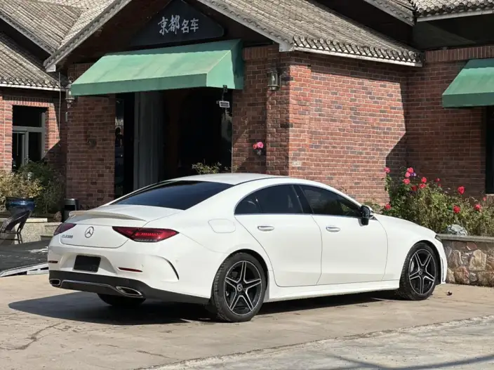 Mercedes-Benz CLS 2021 Model CLS 300 Dynamic Model – фото 6