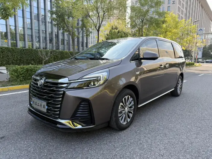 Buick GL8 2023 Model ES Luzun 2.0T Exclusive Model – фото 1