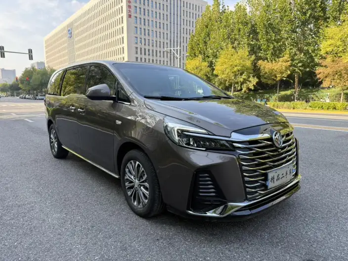 Buick GL8 2023 Model ES Luzun 2.0T Exclusive Model – фото 3