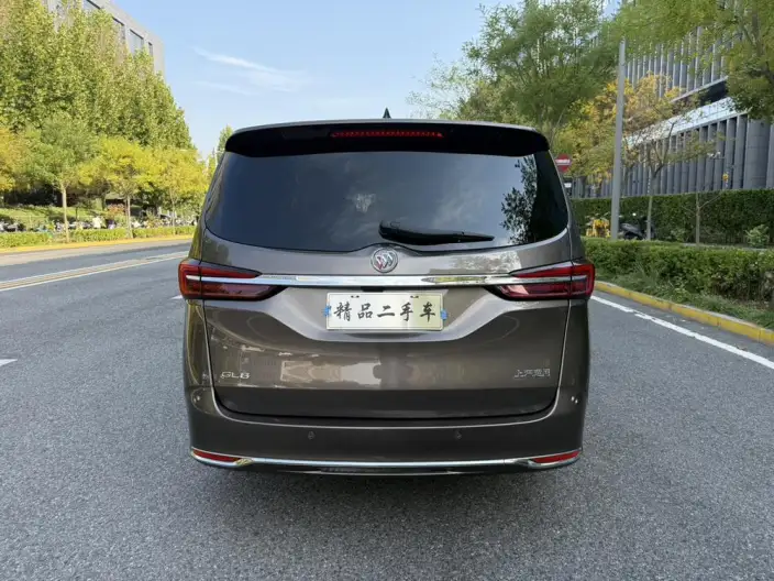 Buick GL8 2023 Model ES Luzun 2.0T Exclusive Model – фото 6