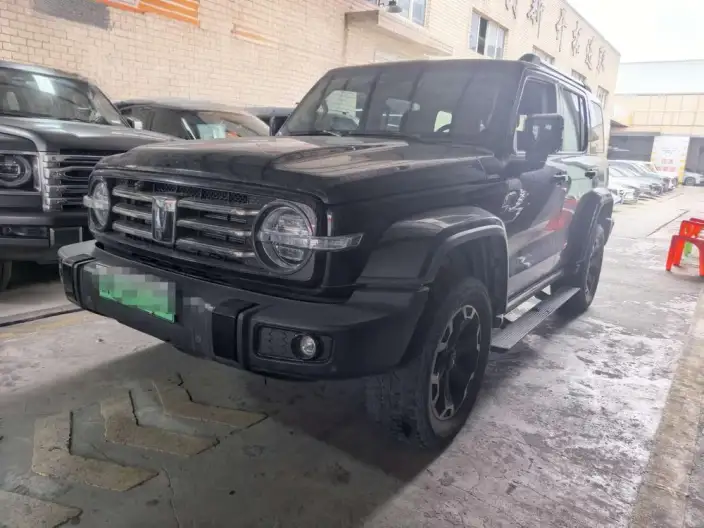 Tank 300 Hi4-T 2024 Model 2.0T Standard Model