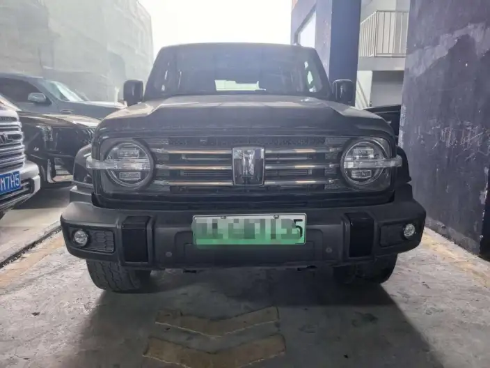 Tank 300 Hi4-T 2024 Model 2.0T Standard Model