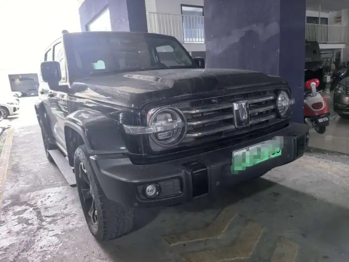 Tank 300 Hi4-T 2024 Model 2.0T Standard Model