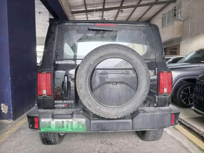 Tank 300 Hi4-T 2024 Model 2.0T Standard Model