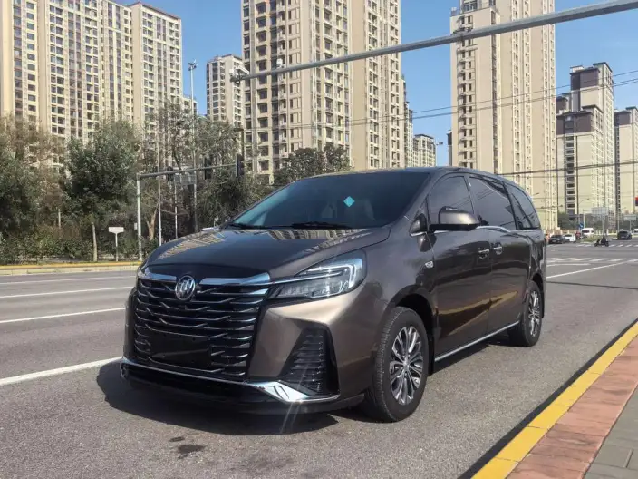 Buick GL8 2023 Model Business class 2.0T Luxury Model – фото 1