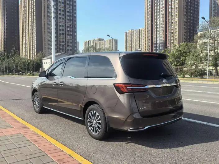 Buick GL8 2023 Model Business class 2.0T Luxury Model – фото 5