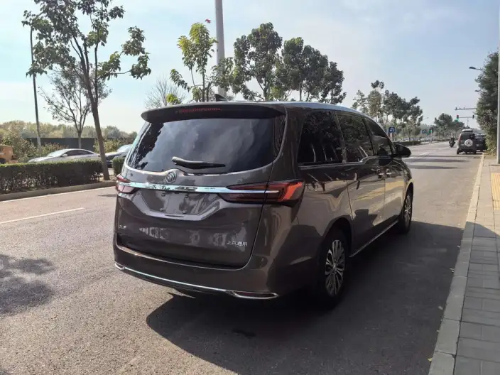 Buick GL8 2023 Model Business class 2.0T Luxury Model – фото 7