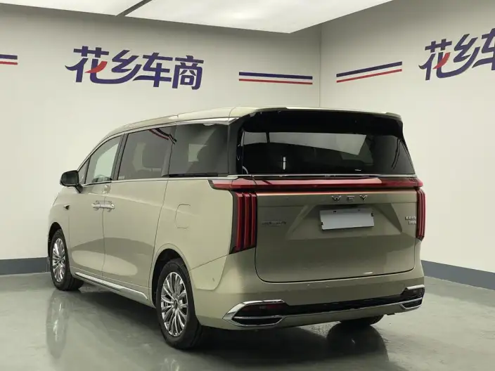 Wey Gaoshan P HEV 2025 Model 4WD Wey Gaoshan 7 – фото 4