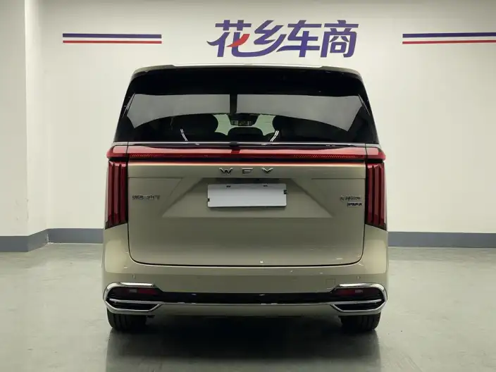 Wey Gaoshan P HEV 2025 Model 4WD Wey Gaoshan 7 – фото 5