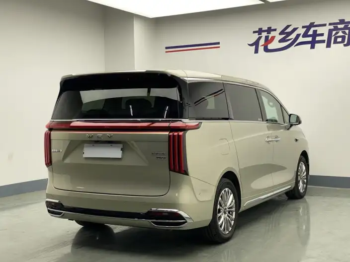 Wey Gaoshan P HEV 2025 Model 4WD Wey Gaoshan 7 – фото 6