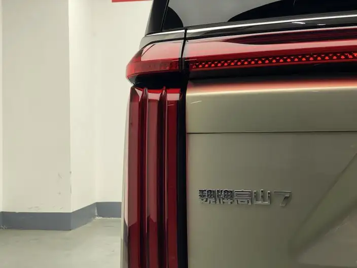 Wey Gaoshan P HEV 2025 Model 4WD Wey Gaoshan 7 – фото 7
