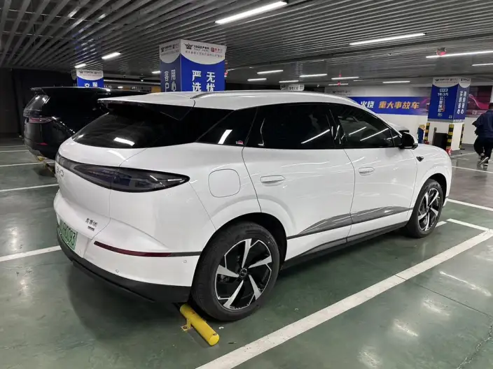 Sea Lion 06DM 2025 Model DM-i 205KM Pilot Plus Edition – фото 3